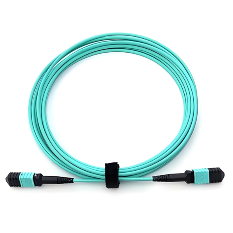 MPO Fiber Patch Cord – H